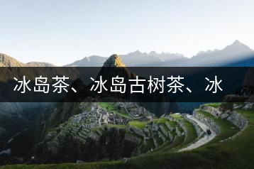 冰島茶、冰島古樹茶、冰島茶區(qū)茶、冰島茶區(qū)古樹茶