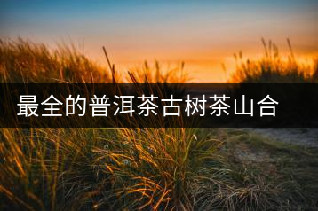 最全的普洱茶古樹(shù)茶山合集