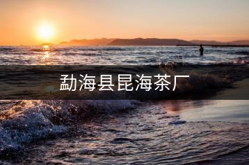 勐?？h昆海茶廠