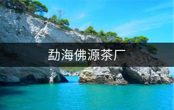 勐海佛源茶廠(chǎng)