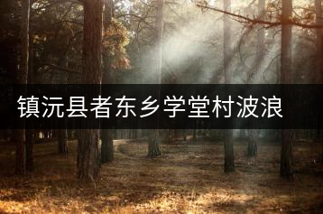 鎮(zhèn)沅縣者東鄉(xiāng)學(xué)堂村波浪茶廠