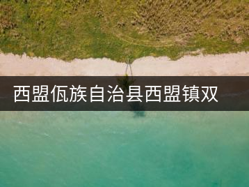 西盟佤族自治縣西盟鎮(zhèn)雙扶茶廠