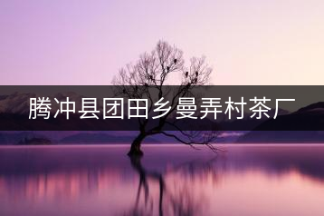 騰沖縣團(tuán)田鄉(xiāng)曼弄村茶廠