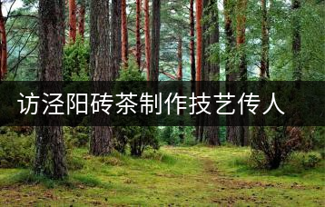 訪涇陽(yáng)磚茶制作技藝傳人、陜西省非遺傳承人賈根社