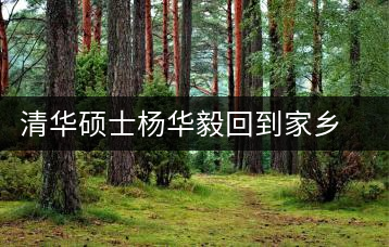 清華碩士楊華毅回到家鄉(xiāng)念起“羊屎茶葉”經