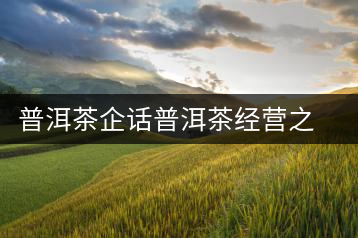 普洱茶企話普洱茶經(jīng)營(yíng)之道
