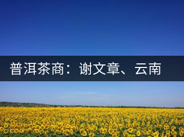 普洱茶商：謝文章、云南谷申商貿(mào)有限公司總經(jīng)理