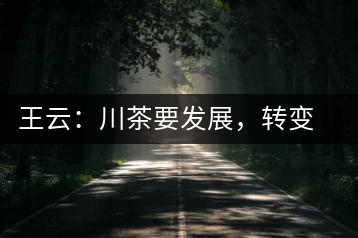 王云：川茶要發(fā)展，轉(zhuǎn)變思想是關(guān)鍵