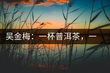 吳金梅：一杯普洱茶，一份云南情