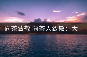 向茶致敬 向茶人致敬：大益集團吳遠之先生