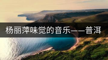 楊麗萍味覺的音樂——普洱茶——鄒家駒與楊麗萍的談話