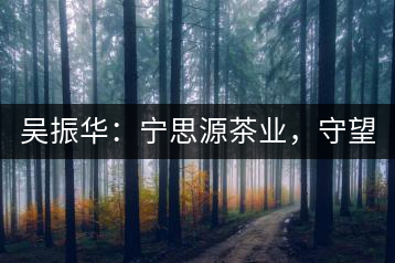 吳振華：寧思源茶業(yè)，守望家鄉(xiāng) 做好“金獎(jiǎng)茶王”