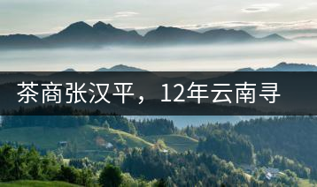 茶商張漢平，12年云南尋茶路
