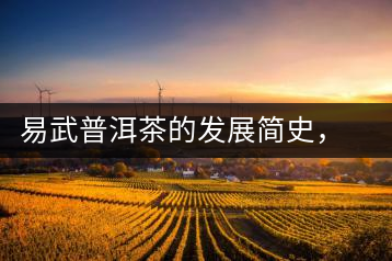 易武普洱茶的發(fā)展簡(jiǎn)史，昔日的貢茶如今依然輝煌