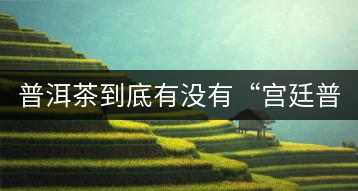 普洱茶到底有沒有“宮廷普洱”一說？它到底是什么？