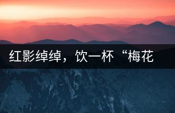 紅影綽綽，飲一杯“梅花”醉