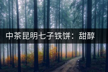 中茶昆明七子鐵餅：甜醇甘潤，陳韻綿長