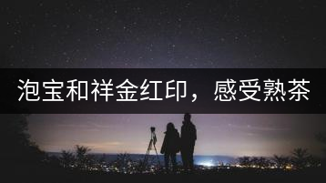 泡寶和祥金紅印，感受熟茶之美。