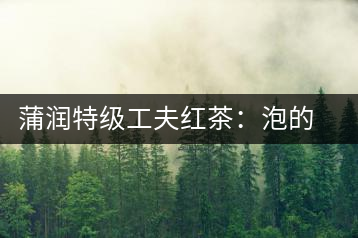 蒲潤(rùn)特級(jí)工夫紅茶：泡的方便，喝的舒適