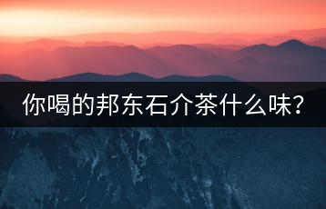你喝的邦東石介茶什么味？
