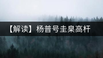 【解讀】楊普號(hào)圭臬高桿茶：形高、氣足、韻遠(yuǎn)的一款茶