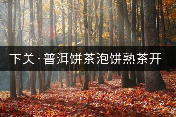 下關(guān)·普洱餅茶泡餅熟茶開(kāi)湯品鑒
