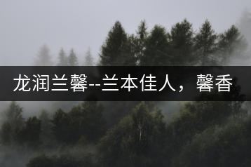 龍潤蘭馨–蘭本佳人，馨香高雅