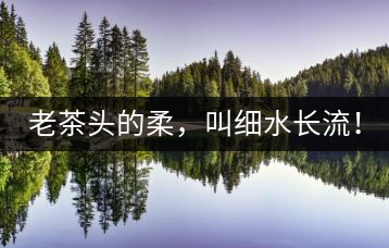 老茶頭的柔，叫細(xì)水長流！