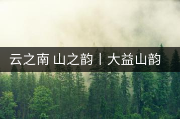 云之南 山之韻丨大益山韻，“韻”味傳奇之山韻歸來