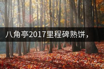 八角亭2017里程碑熟餅，自先發(fā)酵而后愛人