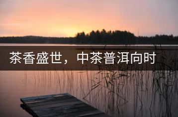 茶香盛世，中茶普洱向時代獻禮