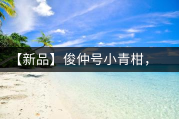 【新品】俊仲號小青柑，青果來傾城