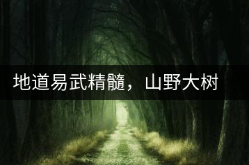 地道易武精髓，山野大樹(shù)珍品—普秀易武生態(tài)喬木圓茶即將上市