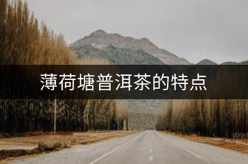 薄荷塘普洱茶的特點(diǎn)