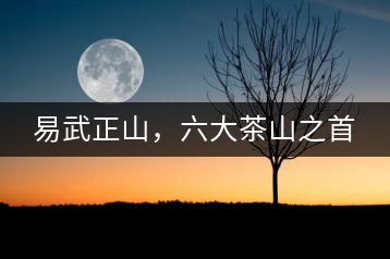 易武正山，六大茶山之首