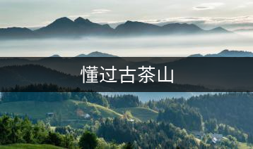 懂過(guò)古茶山