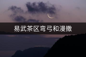 易武茶區(qū)彎弓和漫撒