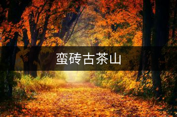 蠻磚古茶山