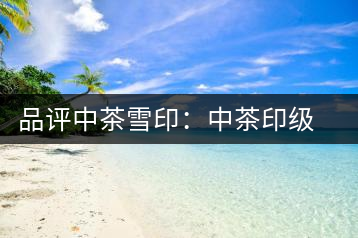 品評(píng)中茶雪?。褐胁栌〖?jí)茶的經(jīng)典傳承