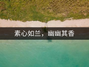 素心如蘭，幽幽其香