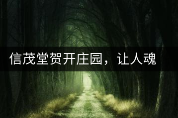 信茂堂賀開莊園，讓人魂牽夢繞的名山古樹茶