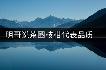 明哥說茶圈枝柑代表品質(zhì)高點，是玩家級的產(chǎn)品