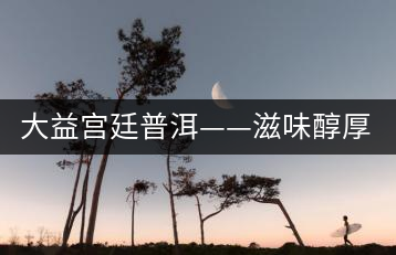 大益宮廷普洱——滋味醇厚，陳香濃郁