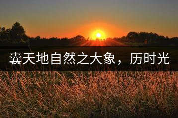 囊天地自然之大象，歷時光十載流轉(zhuǎn)-皇茶一號