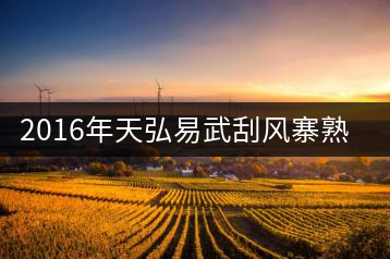 2016年天弘易武刮風(fēng)寨熟茶一泡耐人尋味！