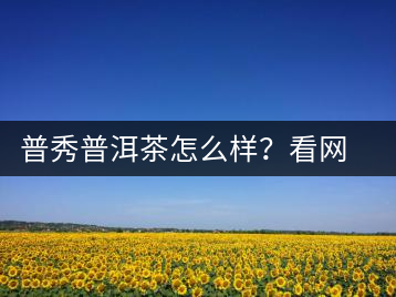 普秀普洱茶怎么樣？看網(wǎng)友精彩回答