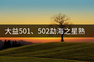 大益501、502勐海之星熟茶