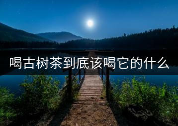 喝古樹茶到底該喝它的什么？