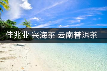 佳兆業(yè) 興海茶 云南普洱茶熟茶古樹(shù)小沱茶勐海茶葉小粒裝60g