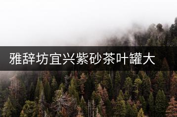 雅辭坊宜興紫砂茶葉罐大號(hào)四餅普洱存儲(chǔ)茶罐缸家用密封罐陶瓷茶具